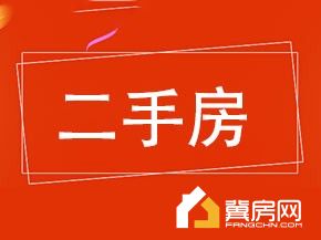 金泰之星自由度